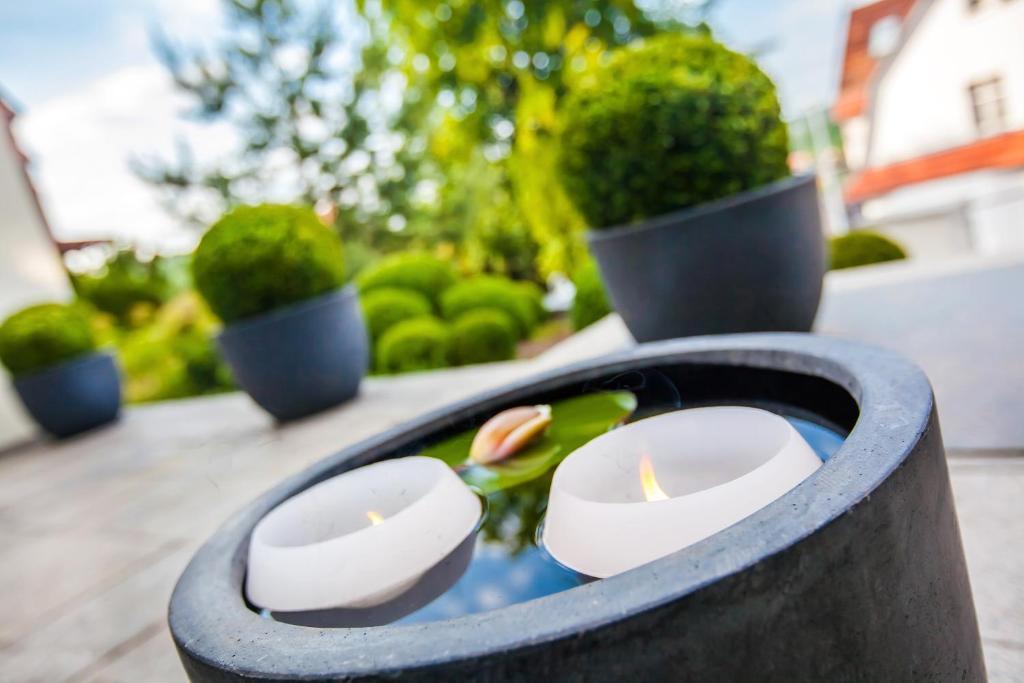 Boutique-Hotel Villa Anna Eisenach Ngoại thất bức ảnh