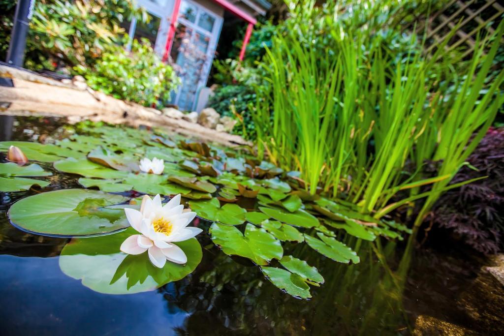 Boutique-Hotel Villa Anna Eisenach Ngoại thất bức ảnh